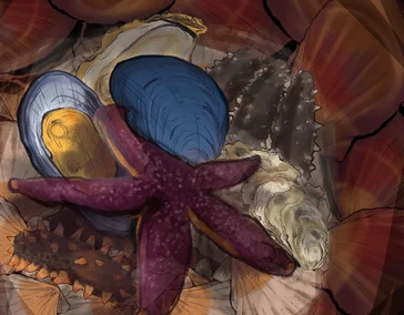 Краткая харктеристика объектов